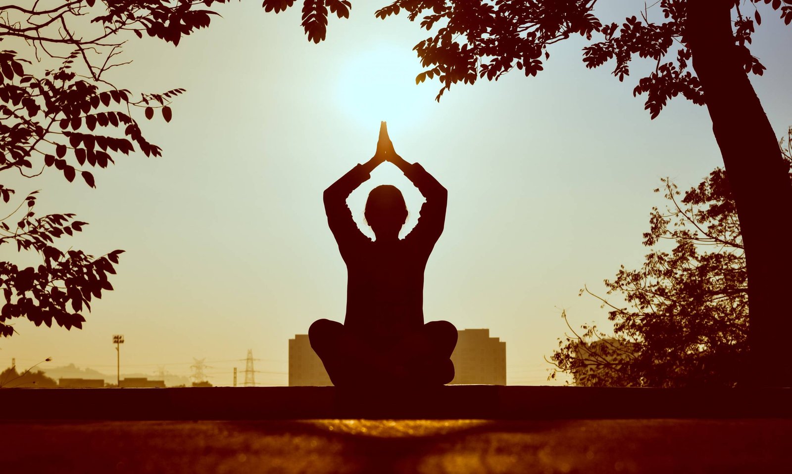 Mindfulness: A New Way to Live and Do Business